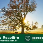 Internação Involuntária Feminina em Aral Moreira: Salve a Vida de Quem Você Ama