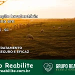 Internação Involuntária Feminina em Araquari: Salve a Vida de Quem Você Ama