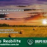 Internação Involuntária Feminina em Bandeirante: Salve a Vida de Quem Você Ama