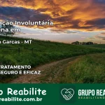Internação Involuntária Feminina em Barra do Garças: Salve a Vida de Quem Você Ama