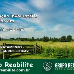 Internação Involuntária Feminina em Barra do Rio Azul: Salve a Vida de Quem Você Ama