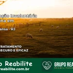 Internação Involuntária Feminina em Barra Mansa: Salve a Vida de Quem Você Ama