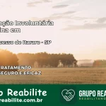Internação Involuntária Feminina em Bom Sucesso de Itararé: Salve a Vida de Quem Você Ama