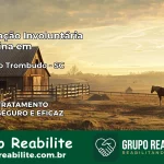Internação Involuntária Feminina em Braço do Trombudo: Salve a Vida de Quem Você Ama