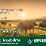 Internação Involuntária Feminina em Brejetuba: Salve a Vida de Quem Você Ama