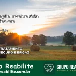 Internação Involuntária Feminina em Brejões: Salve a Vida de Quem Você Ama