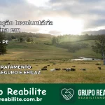 Internação Involuntária Feminina em Buíque: Salve a Vida de Quem Você Ama