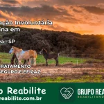 Internação Involuntária Feminina em Caçapava: Salve a Vida de Quem Você Ama