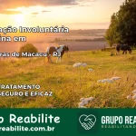 Internação Involuntária Feminina em Cachoeiras de Macacu: Salve a Vida de Quem Você Ama