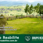 Internação Involuntária Feminina em Caldas: Salve a Vida de Quem Você Ama