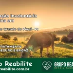 Internação Involuntária Feminina em Caldeirão Grande do Piauí: Salve a Vida de Quem Você Ama