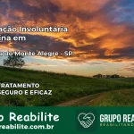 Internação Involuntária Feminina em Campina do Monte Alegre: Salve a Vida de Quem Você Ama