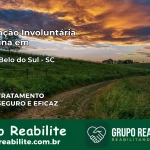 Internação Involuntária Feminina em Campo Belo do Sul: Salve a Vida de Quem Você Ama