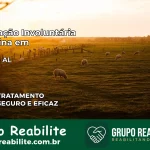 Internação Involuntária Feminina em Canapi: Salve a Vida de Quem Você Ama