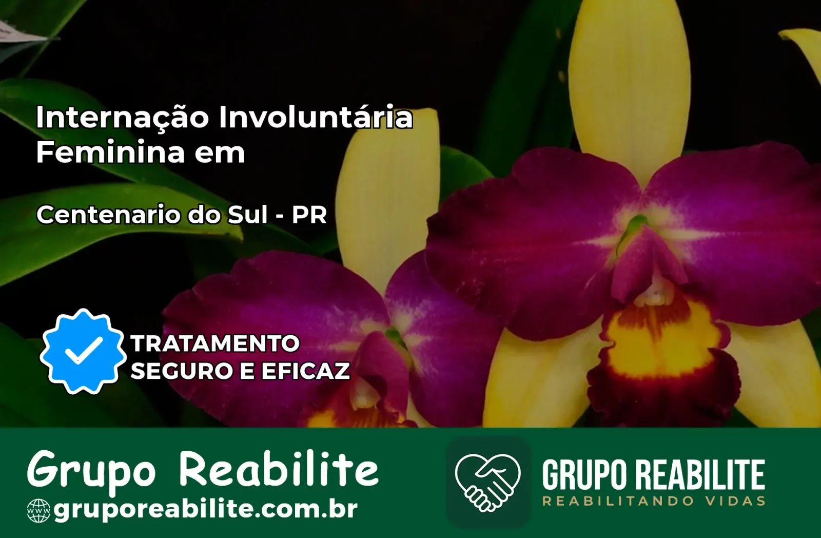 Internação Involuntária Feminina em Centenário do Sul: Salve a Vida de Quem Você Ama