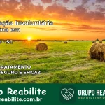 Internação Involuntária Feminina em Chapecó: Salve a Vida de Quem Você Ama