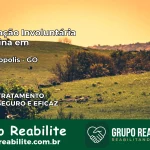 Internação Involuntária Feminina em Cristianópolis: Salve a Vida de Quem Você Ama
