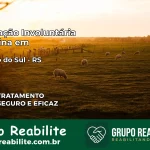 Internação Involuntária Feminina em Cruzeiro do Sul: Salve a Vida de Quem Você Ama