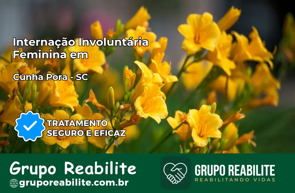 Internação Involuntária Feminina em Cunha Porã: Salve a Vida de Quem Você Ama