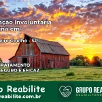 Internação Involuntária Feminina em Engenheiro Coelho: Salve a Vida de Quem Você Ama