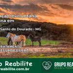 Internação Involuntária Feminina em Espírito Santo do Dourado: Salve a Vida de Quem Você Ama