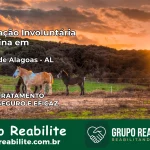 Internação Involuntária Feminina em Estrela de Alagoas: Salve a Vida de Quem Você Ama