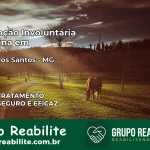 Internação Involuntária Feminina em Felício dos Santos: Salve a Vida de Quem Você Ama