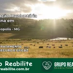 Internação Involuntária Feminina em Franciscópolis: Salve a Vida de Quem Você Ama