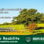Internação Involuntária Feminina em Garrafão do Norte: Salve a Vida de Quem Você Ama
