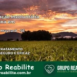 Internação Involuntária Feminina em General Maynard: Salve a Vida de Quem Você Ama