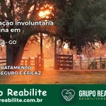Internação Involuntária Feminina em Goiandira: Salve a Vida de Quem Você Ama