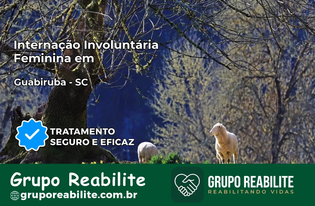 Internação Involuntária Feminina em Guabiruba: Salve a Vida de Quem Você Ama