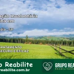Internação Involuntária Feminina em Guzolândia: Salve a Vida de Quem Você Ama