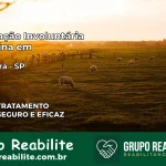 Internação Involuntária Feminina em Holambra: Salve a Vida de Quem Você Ama