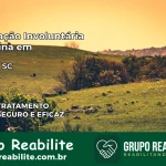 Internação Involuntária Feminina em Ibicaré: Salve a Vida de Quem Você Ama
