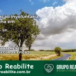 Internação Involuntária Feminina em Indiana: Salve a Vida de Quem Você Ama