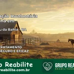 Internação Involuntária Feminina em Itaguaçu da Bahia: Salve a Vida de Quem Você Ama