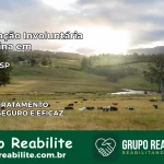 Internação Involuntária Feminina em Itaoca: Salve a Vida de Quem Você Ama