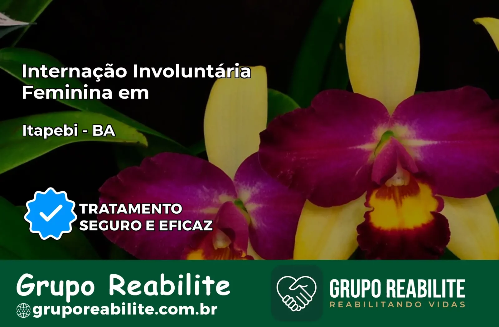Internação Involuntária Feminina em Itapebi: Salve a Vida de Quem Você Ama