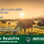 Internação Involuntária Feminina em Itapira: Salve a Vida de Quem Você Ama