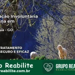 Internação Involuntária Feminina em Itapirapuã: Salve a Vida de Quem Você Ama