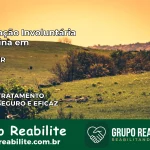 Internação Involuntária Feminina em Ivaté: Salve a Vida de Quem Você Ama
