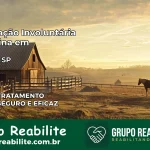 Internação Involuntária Feminina em Juquiá: Salve a Vida de Quem Você Ama