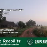 Internação Involuntária Feminina em Lutécia: Salve a Vida de Quem Você Ama