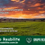 Internação Involuntária Feminina em Malhador: Salve a Vida de Quem Você Ama