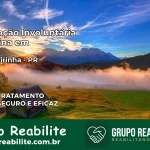 Internação Involuntária Feminina em Mangueirinha: Salve a Vida de Quem Você Ama