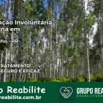 Internação Involuntária Feminina em Marquinho: Salve a Vida de Quem Você Ama