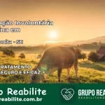 Internação Involuntária Feminina em Moita Bonita: Salve a Vida de Quem Você Ama