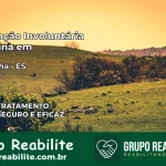Internação Involuntária Feminina em Montanha: Salve a Vida de Quem Você Ama
