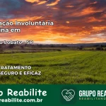 Internação Involuntária Feminina em Monteiro Lobato: Salve a Vida de Quem Você Ama